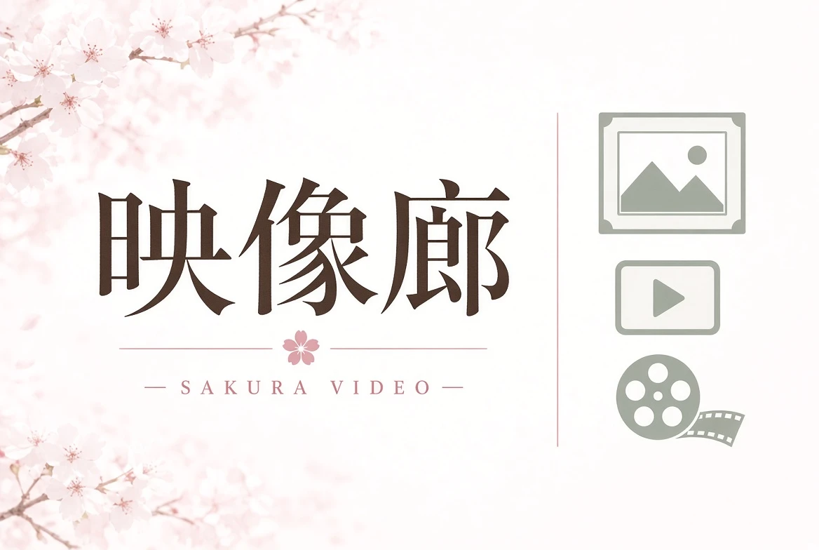 映像廊类型导览